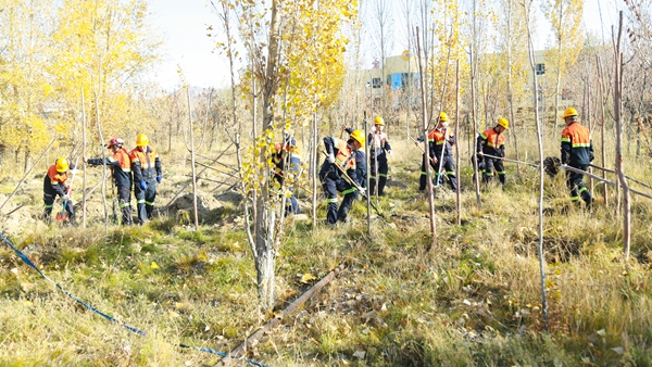 新疆金宝开展2021秋季植树造林活动