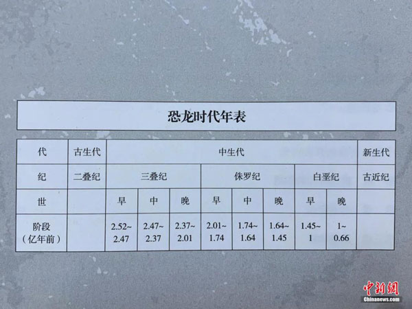 中新社丨紫金山脚下发现恐龙足迹